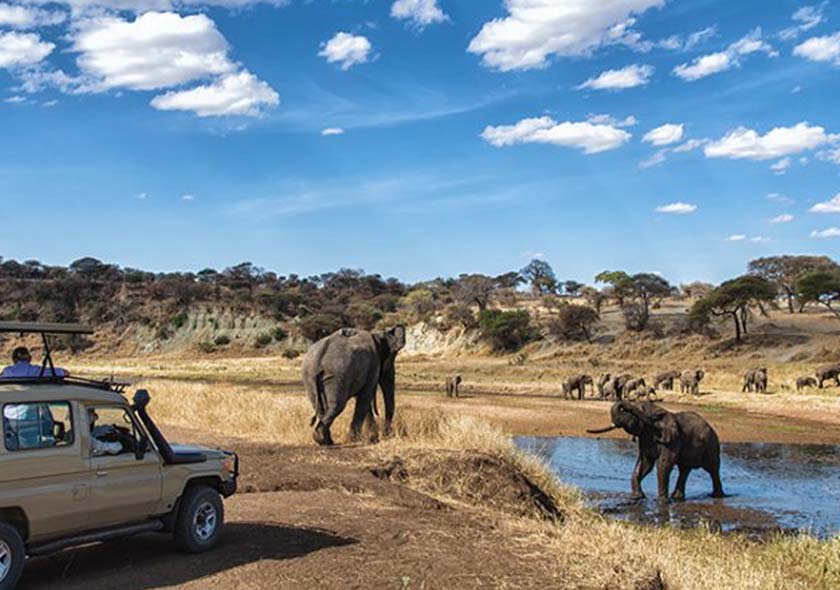 Shira Route - 6 Days Kilimanjaro Climbing