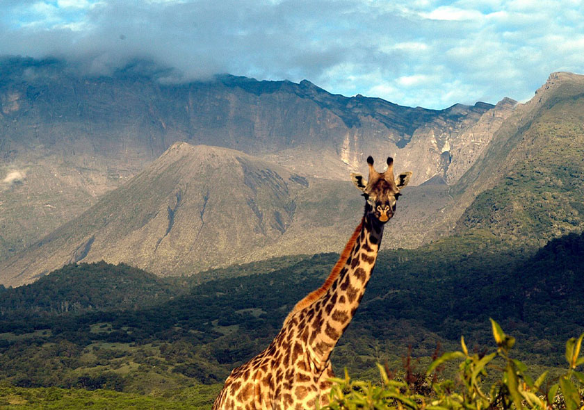 Shira Route - 6 Days Kilimanjaro Climbing