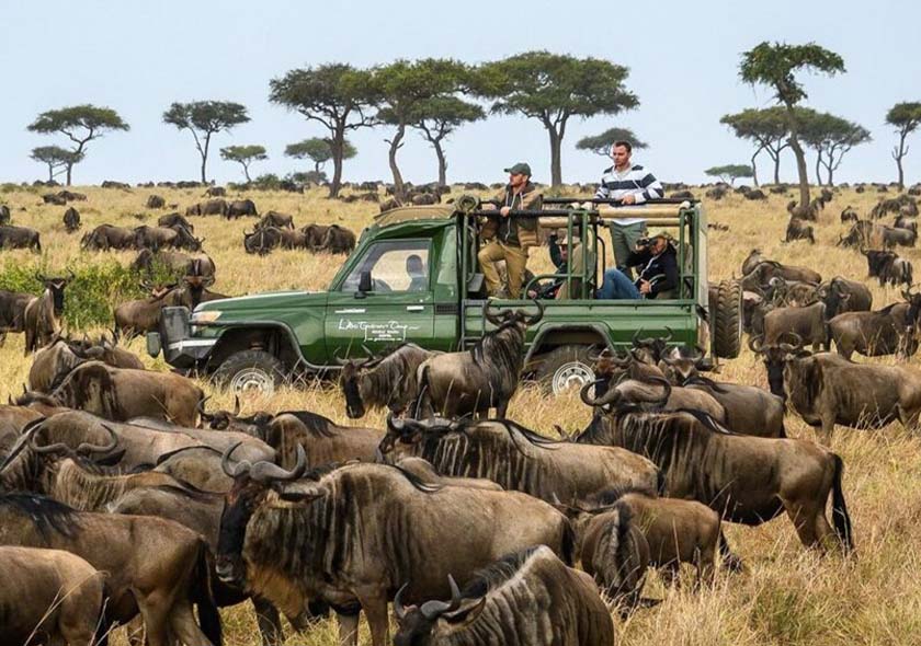 Selous Day Trip Safari