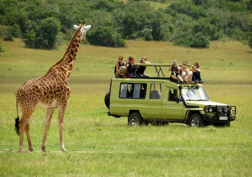 Selous Day Trip Safari