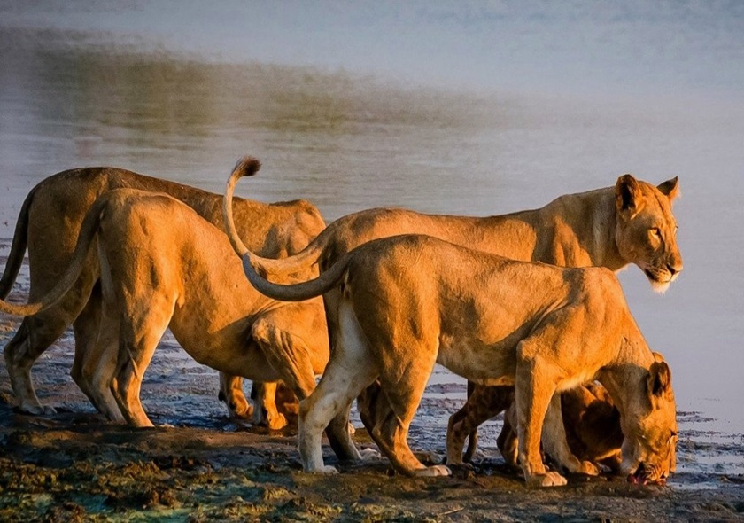 Day 2: Tarangire to Ngorongoro