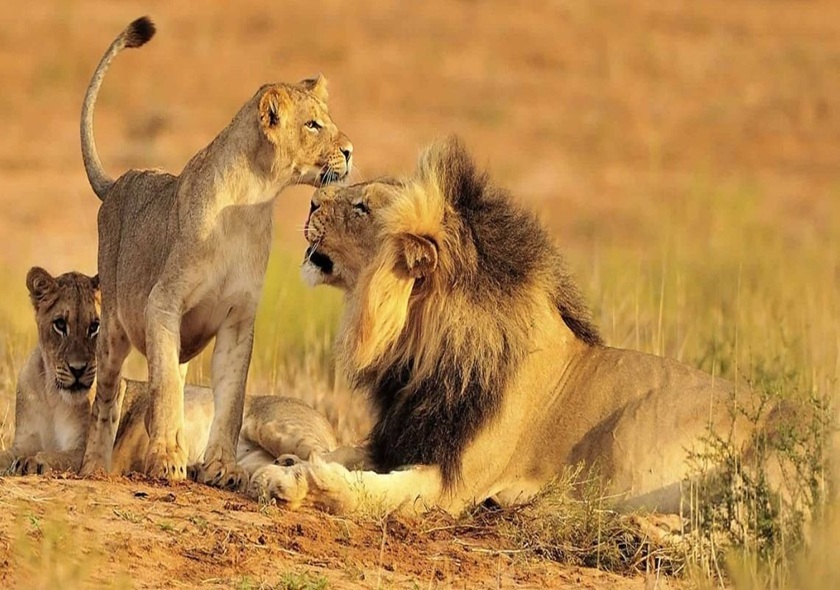 Day 1-2: Tarangire & Manyara