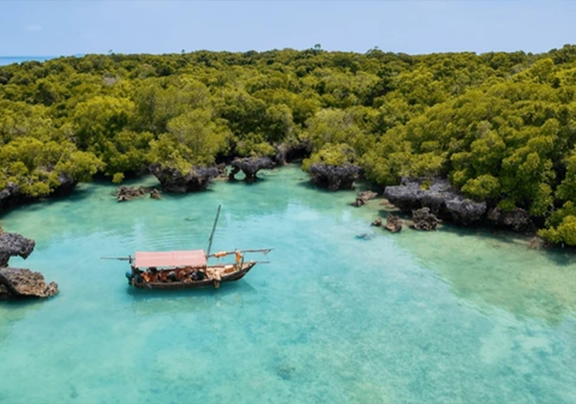 Zanzibar safari blue