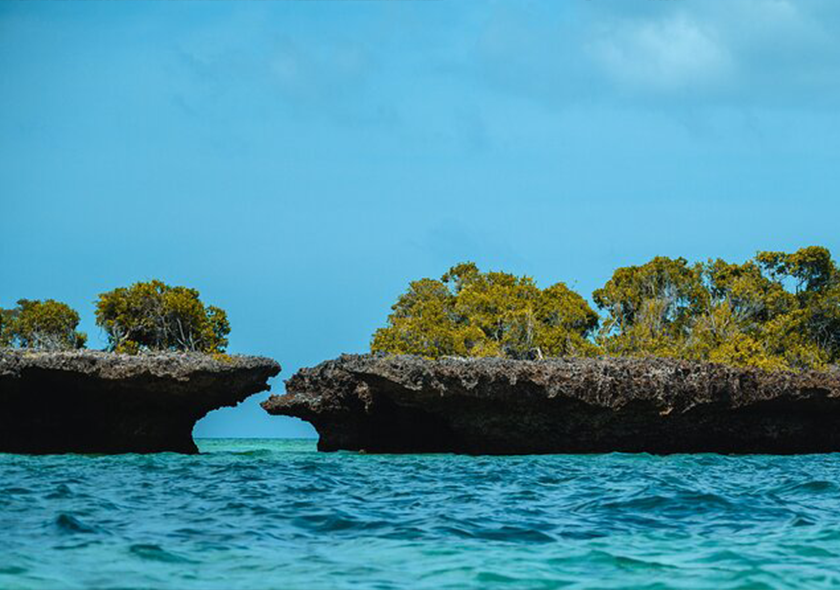 Zanzibar safari blue