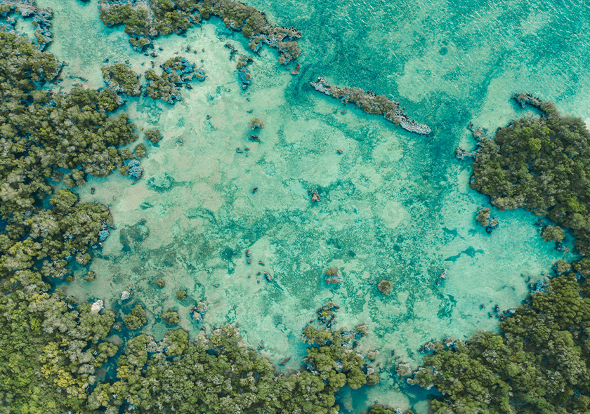 Zanzibar safari blue